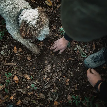 Ca Del Re Κατάλυμα σε φάρμα