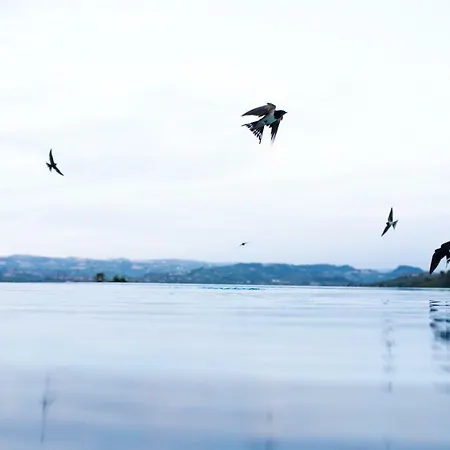 Cà Del Re Alloggio per agriturismo Verduno